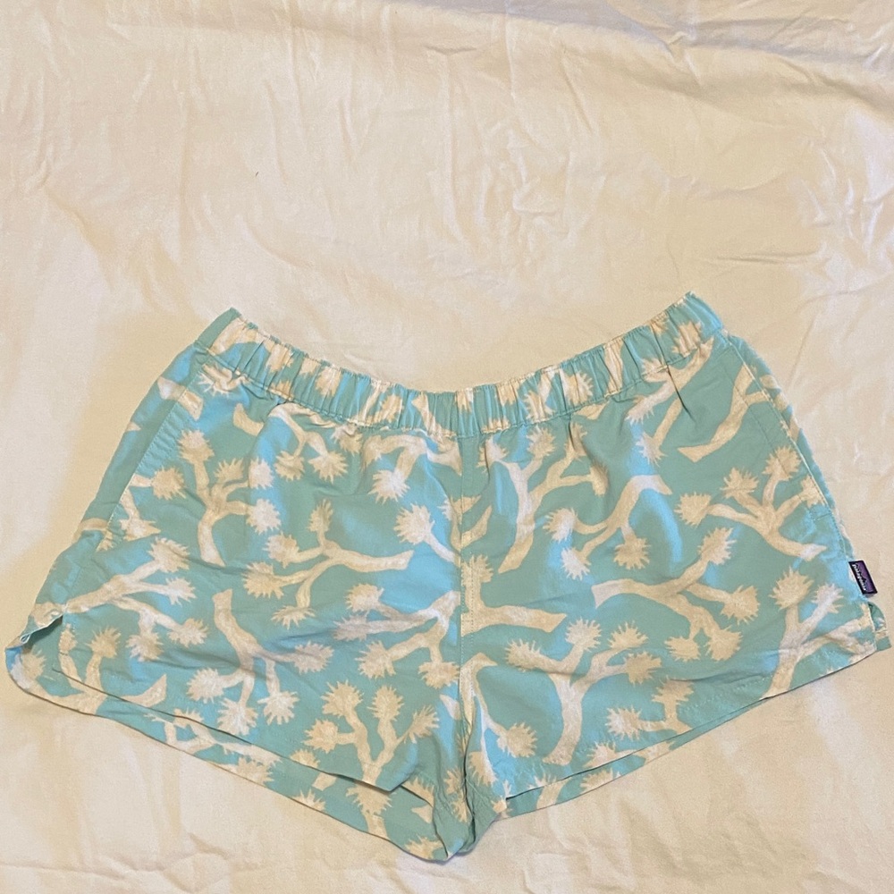 Patagonia baggie Joshua Tree Shorts
